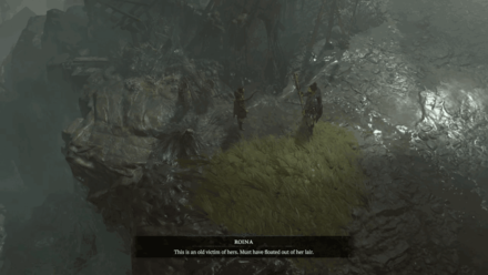 Diablo 4 - Follow Roina