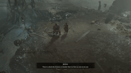 Diablo 4 - Speak with Roina