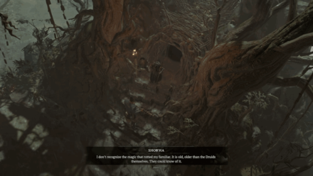 Diablo 4 - Return to Shob