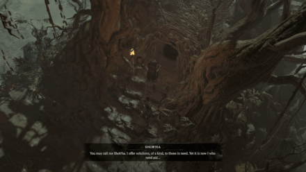 Diablo 4 - A Deepening Shadow Location