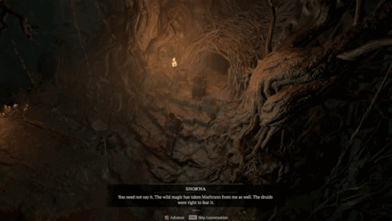 Diablo 4 - Return to Shob