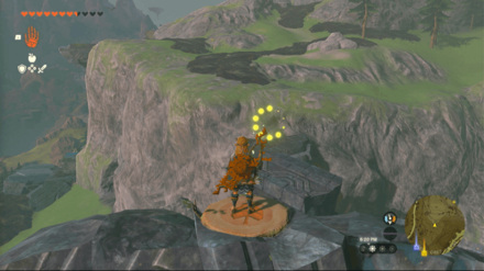 TotK - Korok Seed