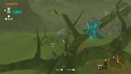 TotK - Korok Seed