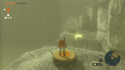 TotK - Korok Seed