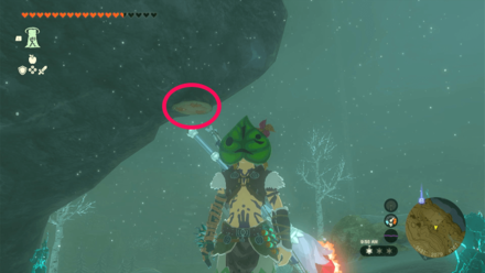 TotK - Korok Seed