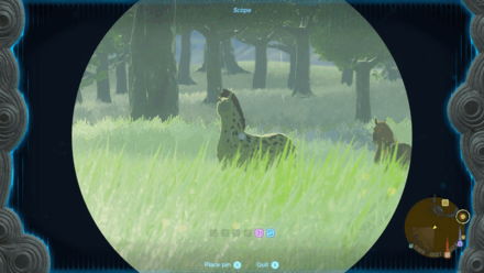 TotK - Find Spot in Hyrule Field