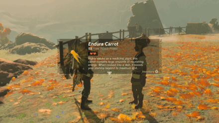 TotK - The Gathering Pirates Reward