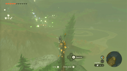 TotK - Korok Seed