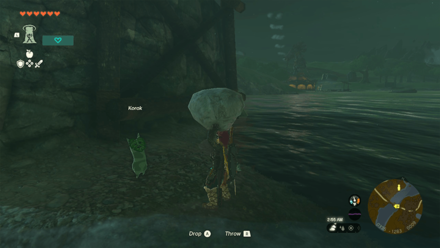 TotK - Korok Seed