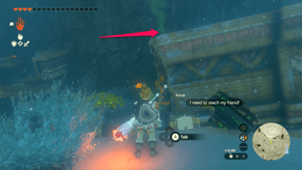 TotK - Korok Seed x2