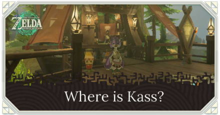 Zelda TotK - Where is Kass
