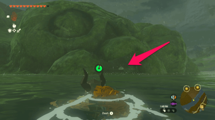 TOTK - Wetland Stable Korok Seed