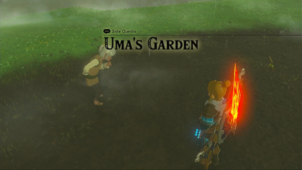 Tears of the Kingdom TOTK Uma