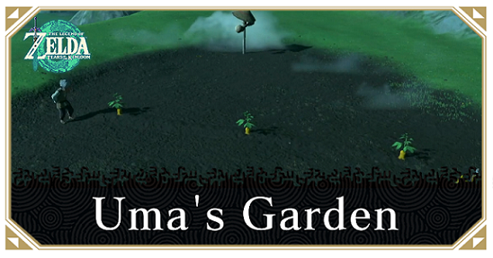 Zelda Tears of the Kingdom TotK - Uma