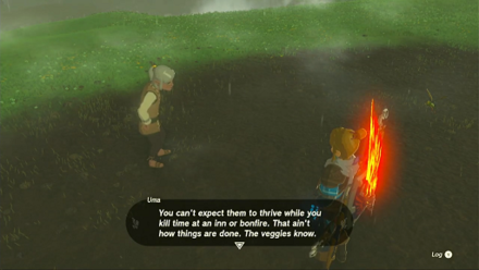 Zelda Tears of the Kingdom TotK - plants won