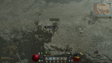 Diablo 4 - Take the Druid Totem