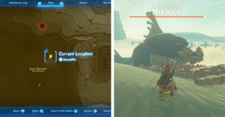 WANTED Molduga Location