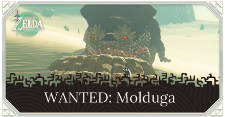 TotK - Wanted Molduga Walkthrough and How to Unlock