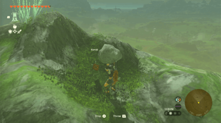 TotK - Korok Seed