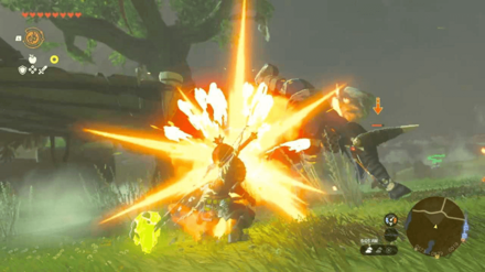 Zelda TotK - Ruby Shield