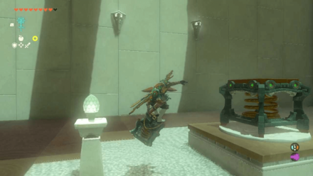 Zelda TotK - Spring Shield