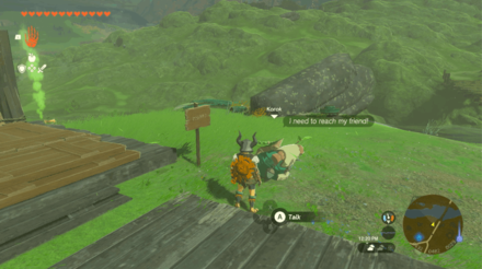 TotK - Korok Seed x2