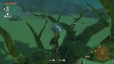 TotK - Korok Seed