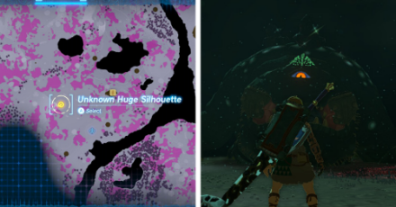 Huge Silhouette Location