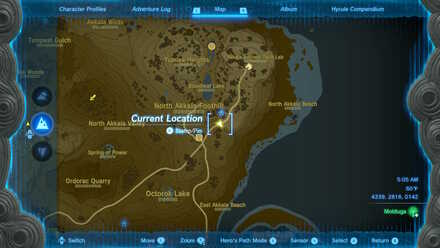 Tears of the Kingdom - Eldin