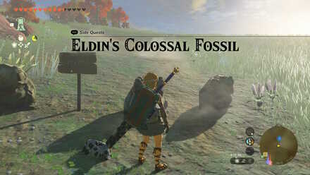 Tears of the Kingdom TOTK Eldin