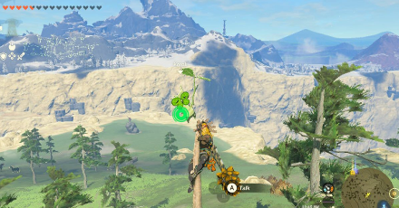 TotK - Korok Seed