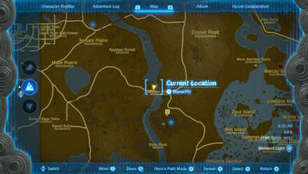 Tears of the Kingdom - Fell Into a Well