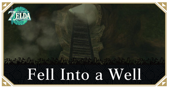 Tears of the Kingdom - Fell Into a Well Walkthrough