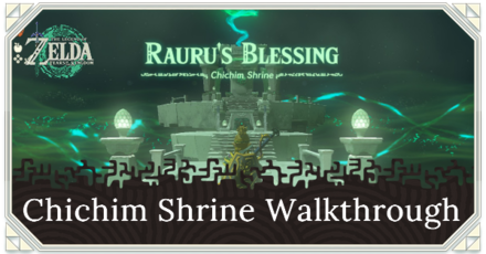 Zelda TotK Chichim Shrine Puzzle Solution