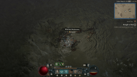 Diablo 4 Collect a Red Mushroom