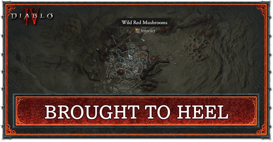 Diablo 4 - Brought to Heel