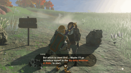 TotK - Talk to Loone