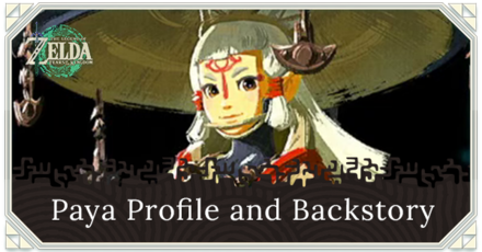 Zelda TOTK - Paya Profile and Backstory