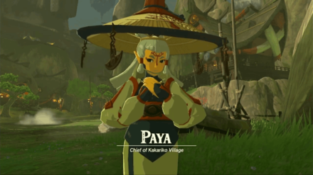 Zelda TotK - Quest Giver of the Secret of the Ring Ruins