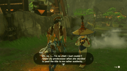 Zelda Totk - Chief of the Sheikah Tribe