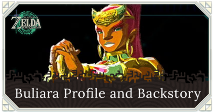 Zelda TOTK - Buliara Profile and Backstory