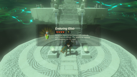 Zelda TotK Natak Shrine Enduring Elixir