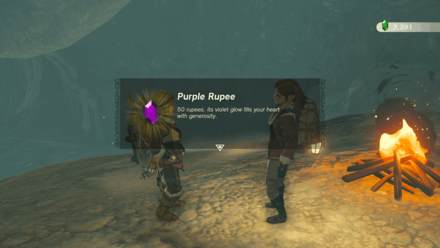 Zelda Tears of the Kingdom TotK - Hebra