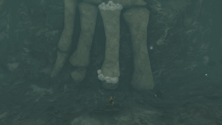 Zelda Tears of the Kingdom TotK - Fin Bone Placement