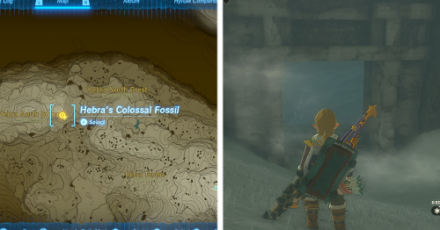 Zelda Tears of the Kingdom TotK - Hebra