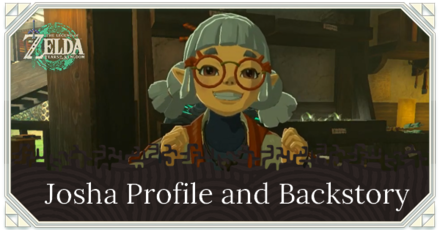 Zelda TotK - Josha Profile and Backstory
