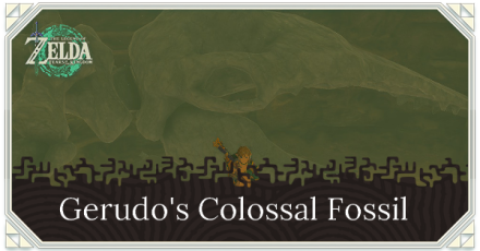 Zelda Tears of the Kingdom TotKGerudo