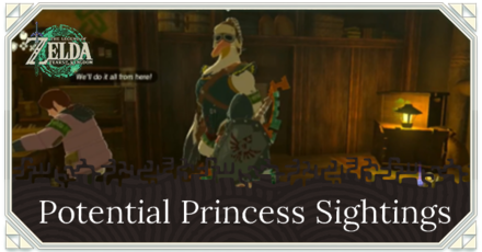 TOTK - Potential Princess Sightings