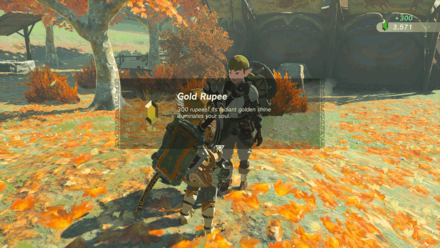 TotK - Strongest in the World Reward