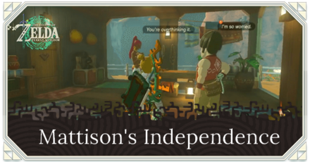 Zelda Tears of the Kingdom TOTK - Mattison